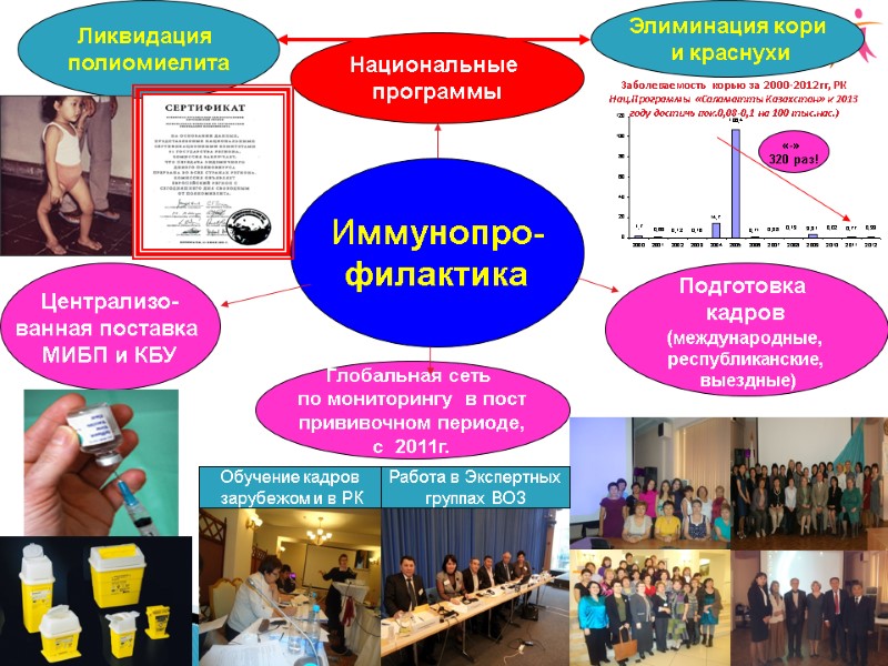 Национальные  программы Иммунопро- филактика Элиминация кори  и краснухи Ликвидация  полиомиелита 